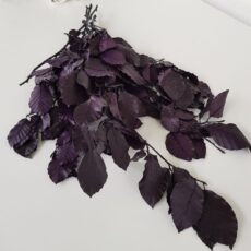 Mazzo foglie di betulla stabilizzata viola