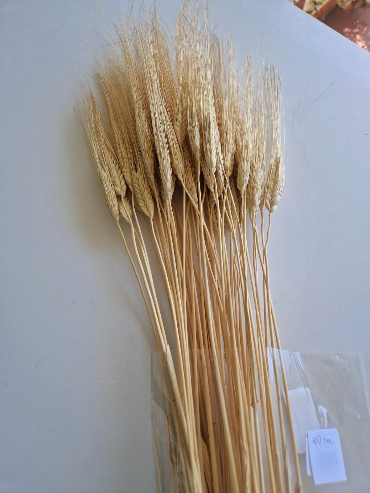 Spighe Grano Baffo Giallo - immagine 3