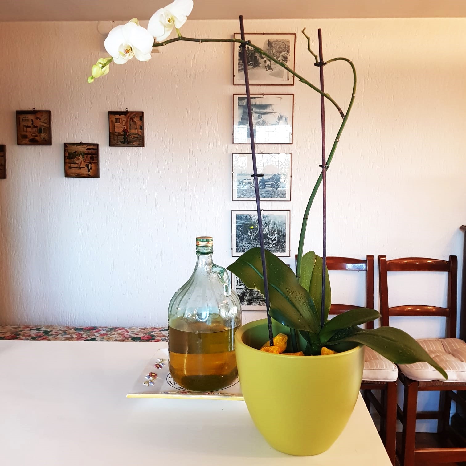 vaso in ceramica