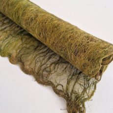 fibra di Tagasi Shell