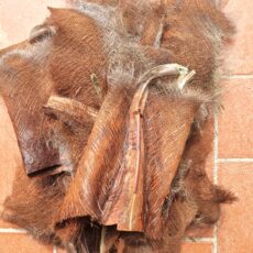 fibra naturale di palma
