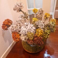 centrotavola con ortensie essiccate
