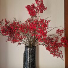 ramo di nandina