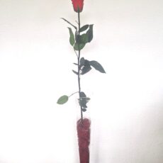 composizione rosa rossa stabilizzata 104 cm