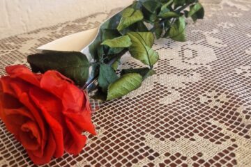 rosa_stabilizzata_con_gambo