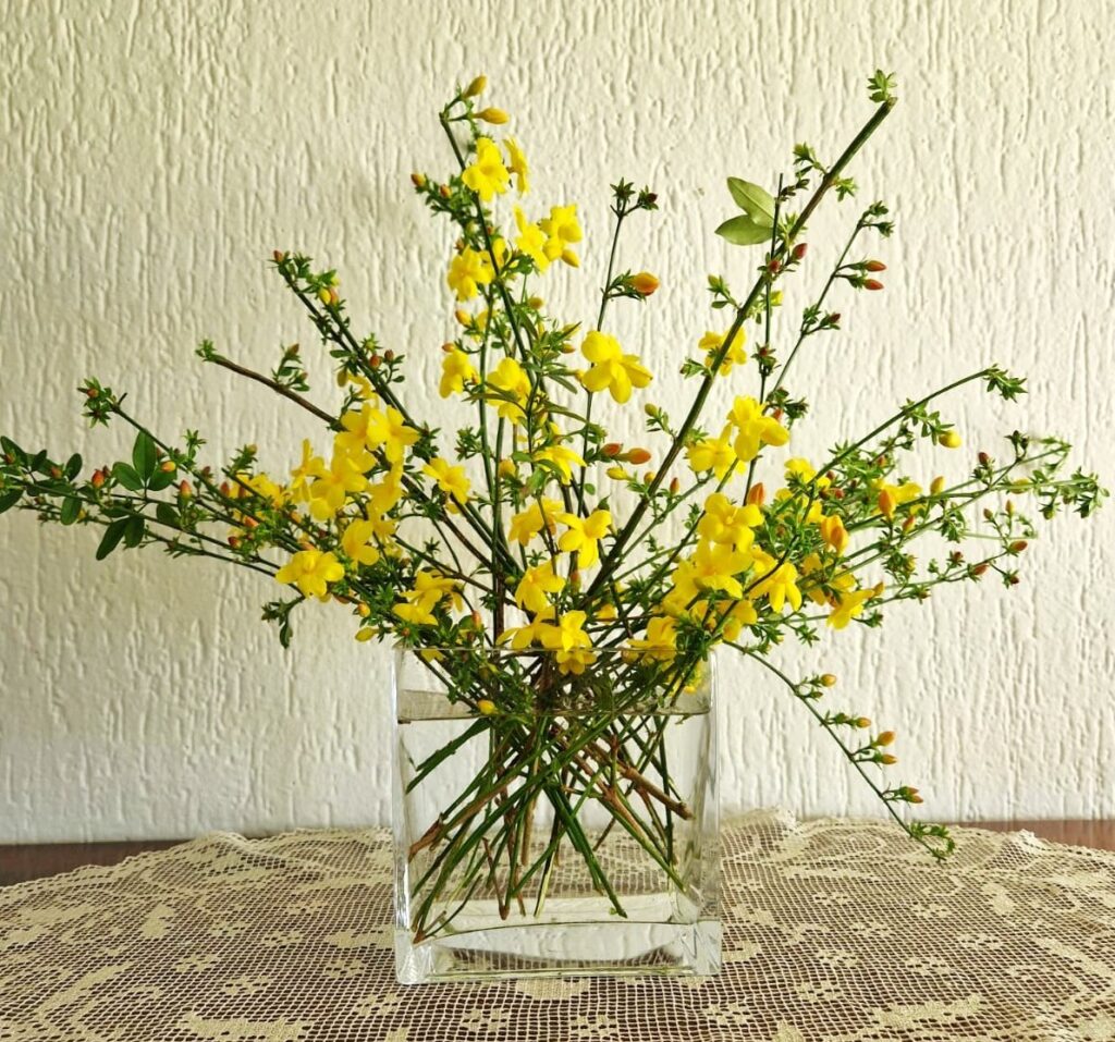 Rettangolo vetro con gelsomino giallo