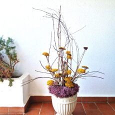 composizione botanica da esterno