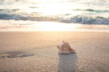 Idee per decorazioni estive fai da te: 5 progetti a tema mare per la casa