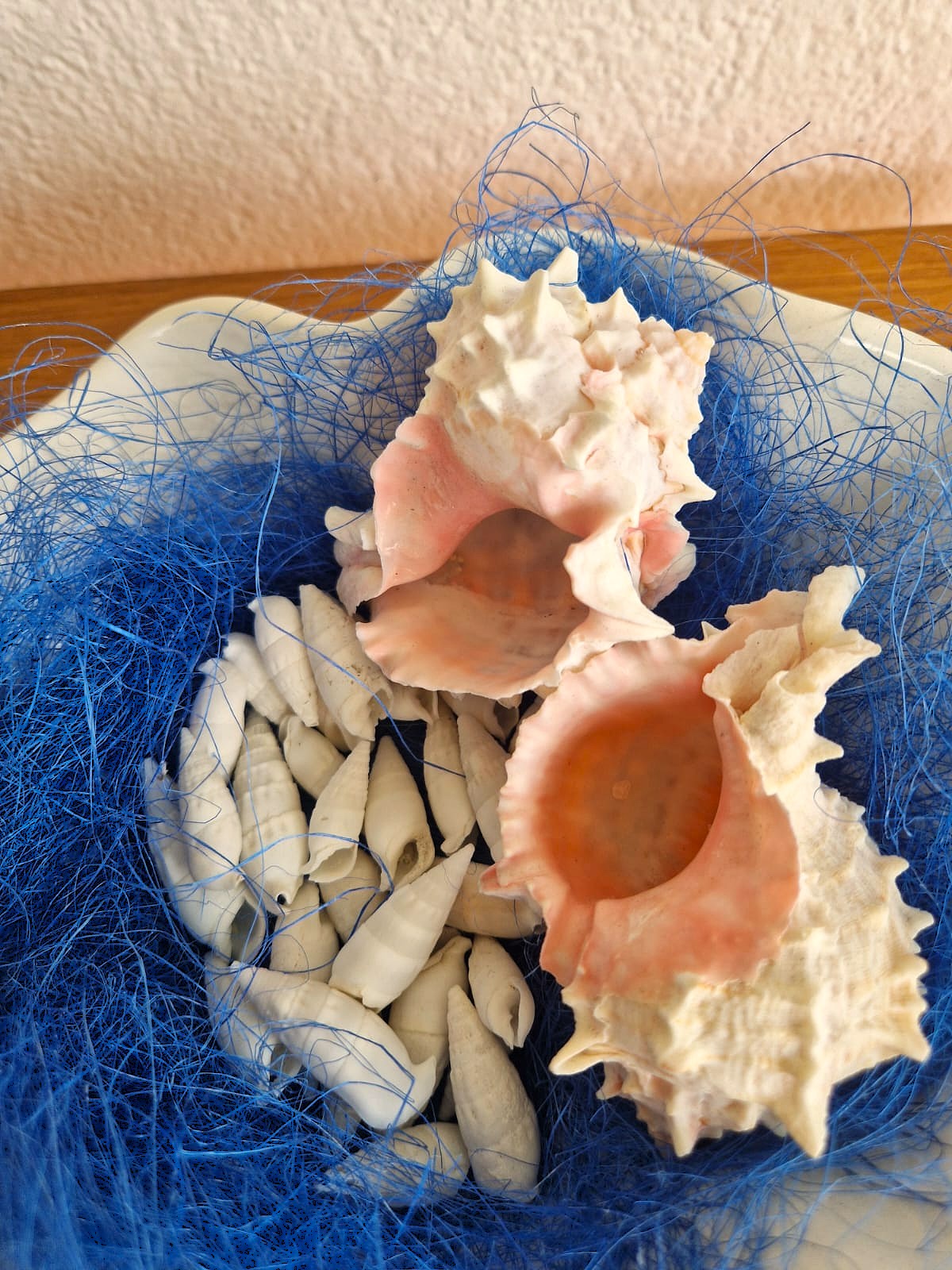 centrotavola conchiglie Pink Murex