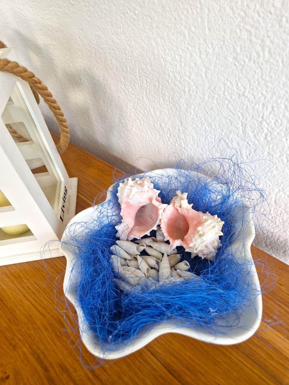 centrotavola conchiglie Pink Murex